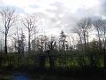 Wandeling 22-10-2017 (12)